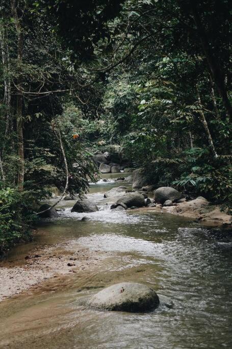 The Estate Hulu Rening - Private Retreat Cabin Batang Kali Ngoại thất bức ảnh